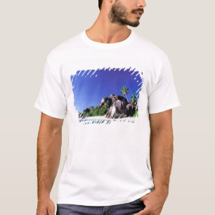 T-shirt Afrique, Seychelles, île de La Digue. Granite 3
