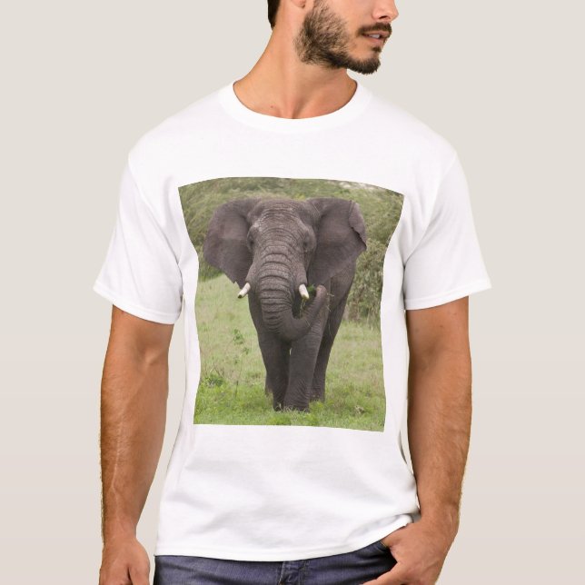 T-shirt Afrique Tanzanie Elephant au cratère de Ngorongoro (Devant)