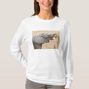 T-shirt Afrique. Tanzanie. Jeune éléphant à Tarangire