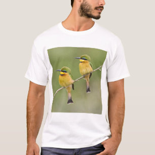 T-shirt Afrique. Tanzanie. Petits guêpiers à Manyara