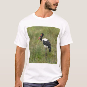 T-shirt Afrique. Tanzanie. Tantale d'Afrique mâle