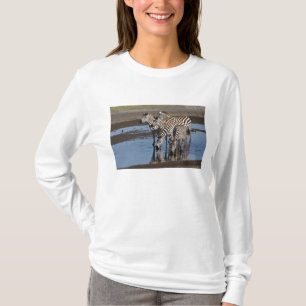 T-shirt Afrique. Tanzanie. Zèbres buvant à Ndutu