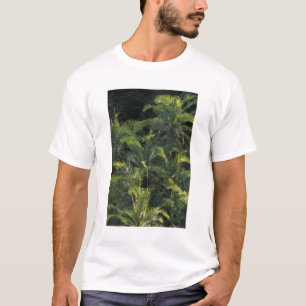 T-shirt Afrique, Zambie, Parc national de Mosi-Oa-Tunya,