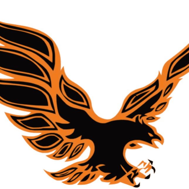 T-shirt Aigle orange (Créateur téléchargé)