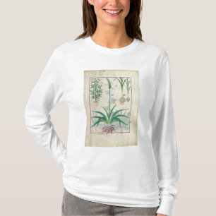 T-shirt Ail et d'autres plantes