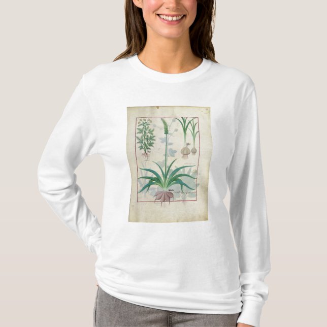 T-shirt Ail et d'autres plantes (Devant)