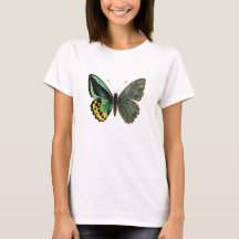 Aile de papillon Birdwing en cuivre oxydé