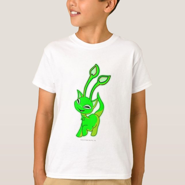 T-shirt Aisha brillant (Devant)