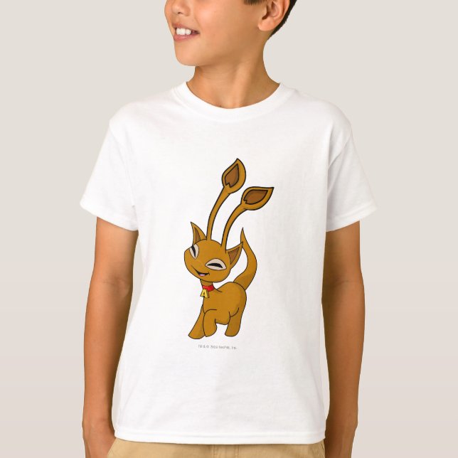 T-shirt Aisha Brown (Devant)