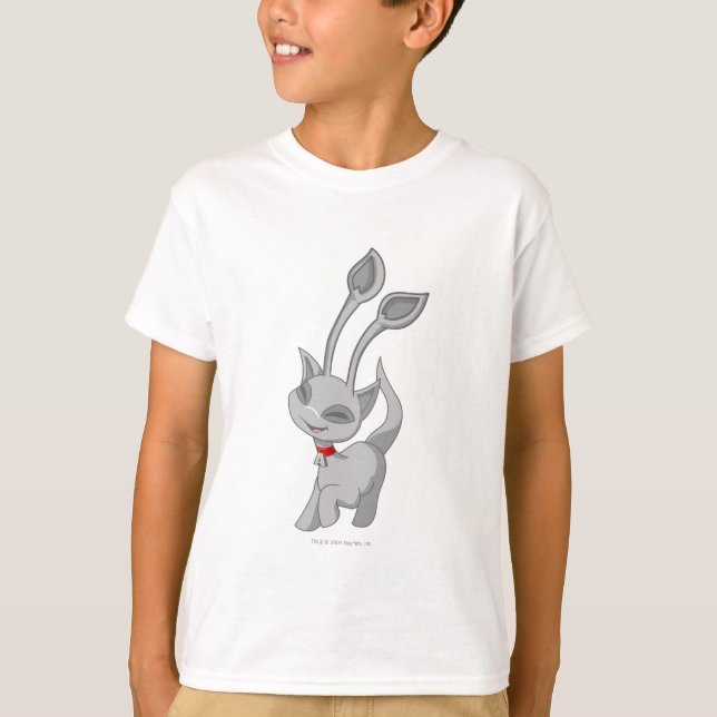 T-shirt Aisha Silver (Devant)