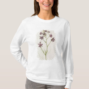 T-shirt Ajacis de delphinium, c.1568