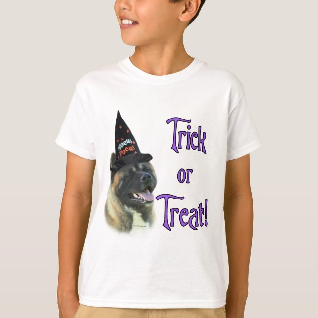 T-shirt Akita Trick (Devant)
