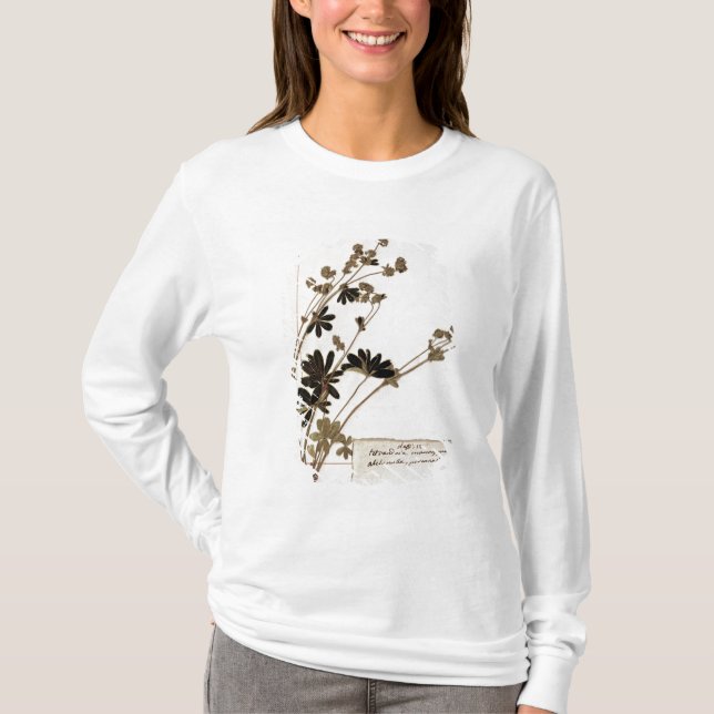T-shirt Alchemille, d'un herbier (Devant)