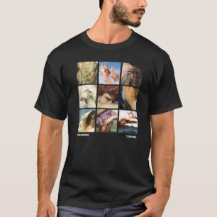 T-shirt Alexandre Cabanel Grille de peintures célèbres