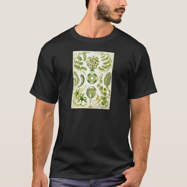 T-shirt Algue et algues de Siphoneae d'Ernst Haeckel (Devant)