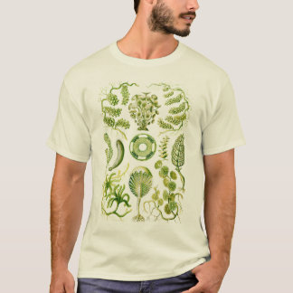 T-shirt Algues