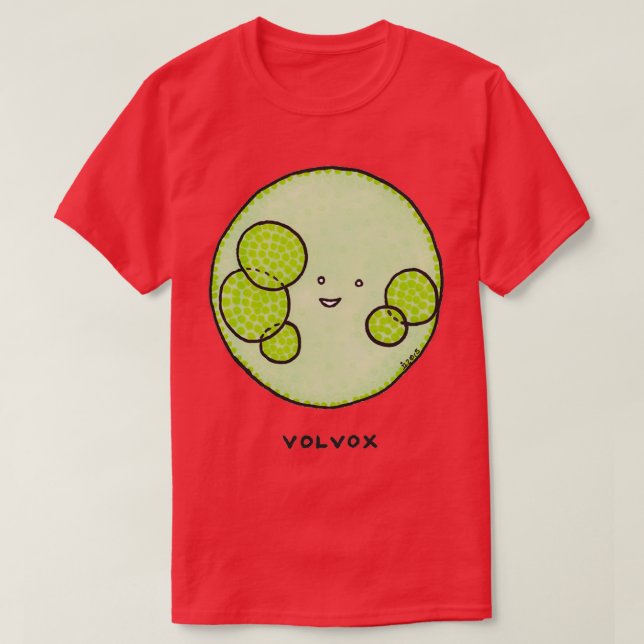 T-shirt Algues volvox (Design devant)