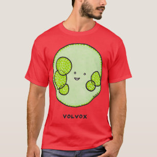 T-shirt Algues volvox