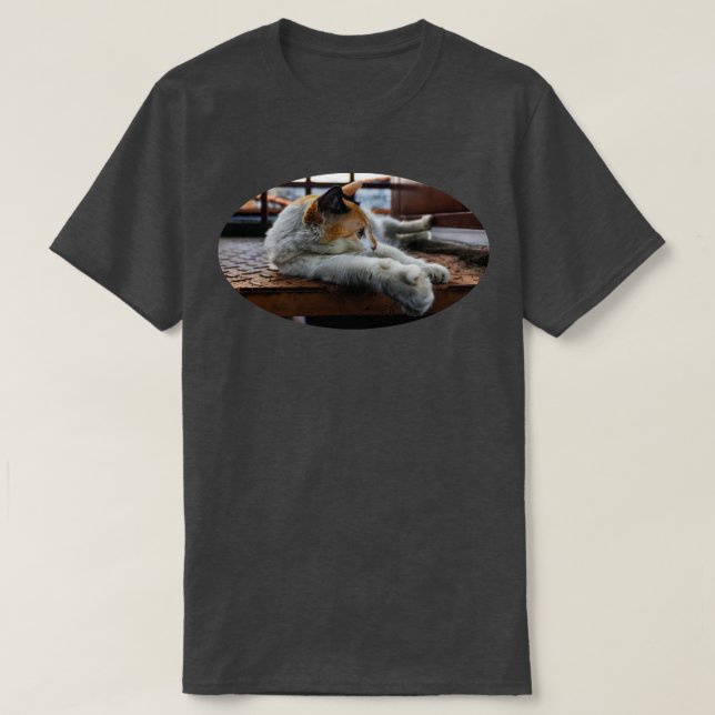 T-shirt allcats sont beaux (Design devant)