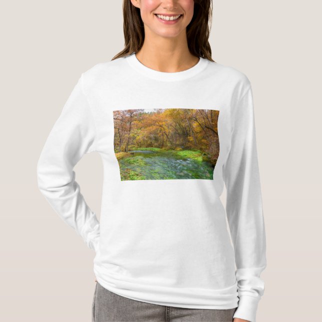 T-shirt Alley Spring Automne Eau (Devant)