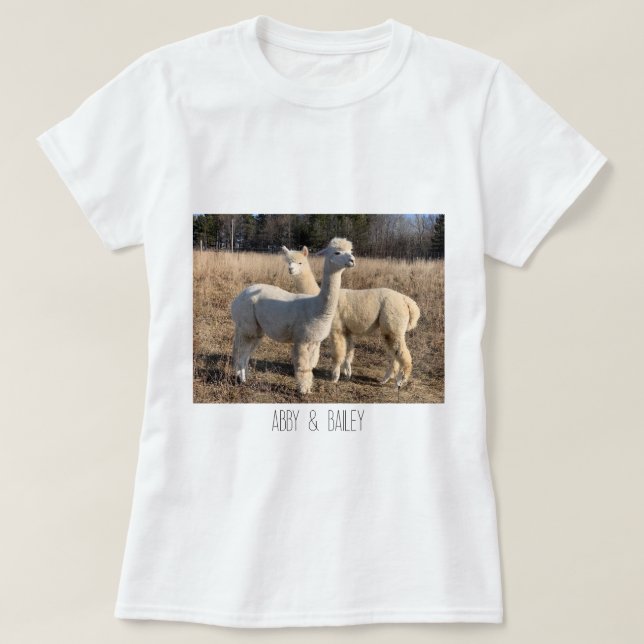 T-Shirt - Alpacas Abby & Bailey (Design devant)