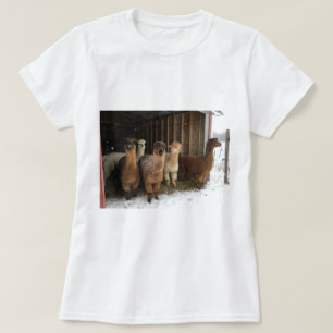 T-Shirt - Alpacas dans la neige