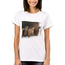 T-Shirt - Alpacas dans la neige