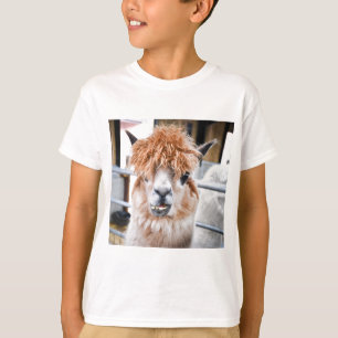 T-shirt Alpaga