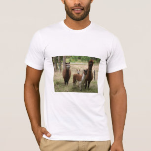 T-shirt Alpaga Brown mignons dans le zoo