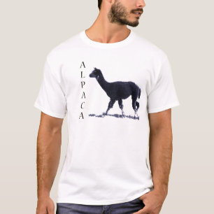 T-shirt Alpaga T