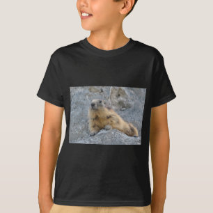 T-shirt Alpine marmot on the roch
