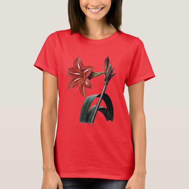 T-shirt Amaryllis barrée (Devant)