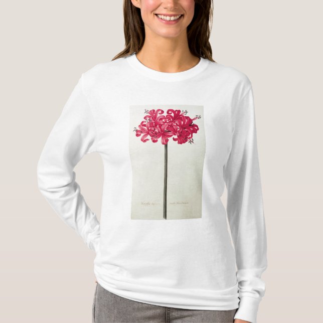 T-shirt Amaryllis Sarniensis, ou narcisse (Devant)