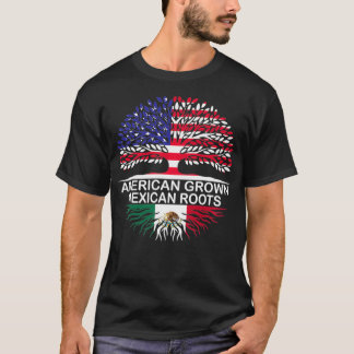 T-shirt Américain Cultivé Meican Roots Meico Drapeau Pullo