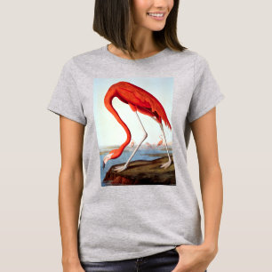 T-shirt American Flamingo