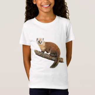 T-shirt American Pine Marten