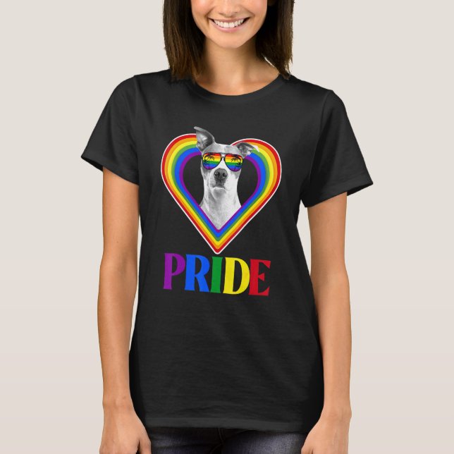 T-shirt American Pitbull Fierté Arc-en-ciel (Devant)