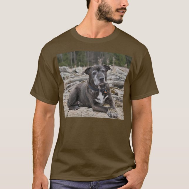 T-shirt American Staffordshire Terrier - Chemises (Devant)