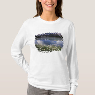 T-shirt Amérique du Nord, Canada, Alberta, Banff National