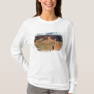T-shirt Amérique du Nord, États-Unis, Arizona, Indien Nava