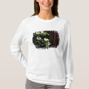 T-shirt Amérique du Nord, États-Unis, Californie, Yosemite