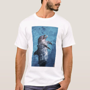 T-shirt Amérique du Nord, États-Unis, Hawaï. Dauphin