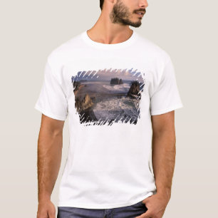 T-shirt Amérique du Nord, États-Unis, Washington, Parc nat