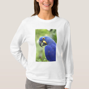 T-shirt Amérique du Sud, Brésil, Pantanal