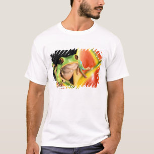 T-shirt Amérique du Sud, Équateur, Amazonie. Grenouille ar