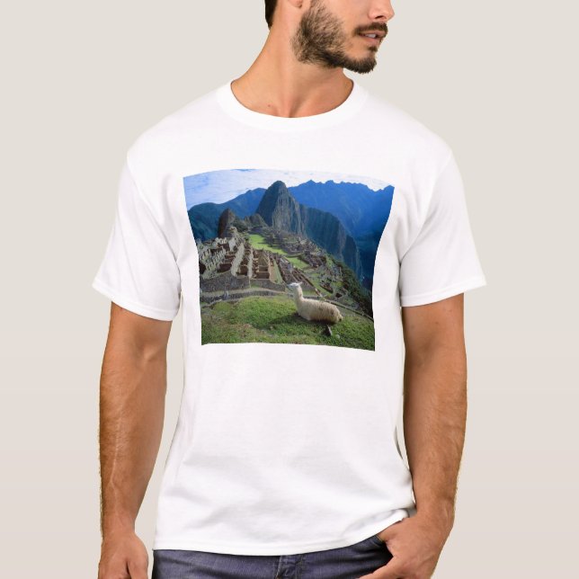 T-shirt Amérique du Sud, Pérou. Un lama repose sur une col (Devant)