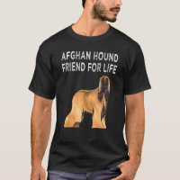 Ami Afghan Hound Pour Une Vie Amitié Chien