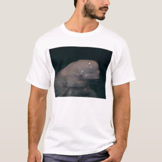 T-shirt ami le beluga