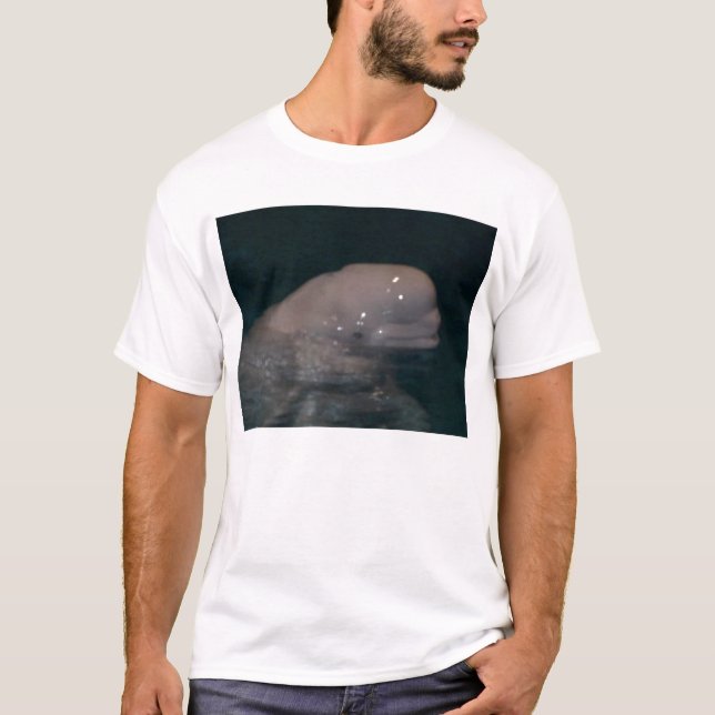 T-shirt ami le beluga (Devant)