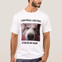 Ami loyal Huskie